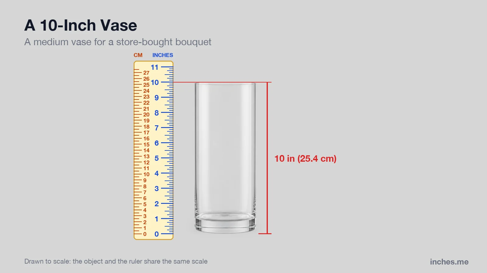 Clear glass cylinder vase standing next to a ruler, 10 inches tall