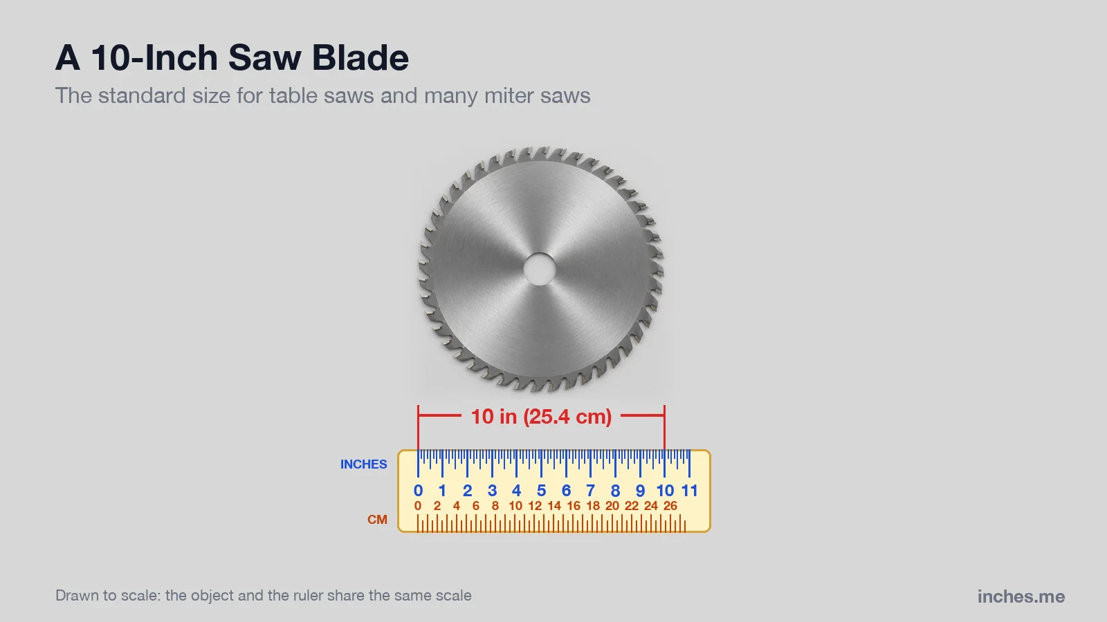 Circular saw blade with carbide teeth above a ruler, 10 inches across