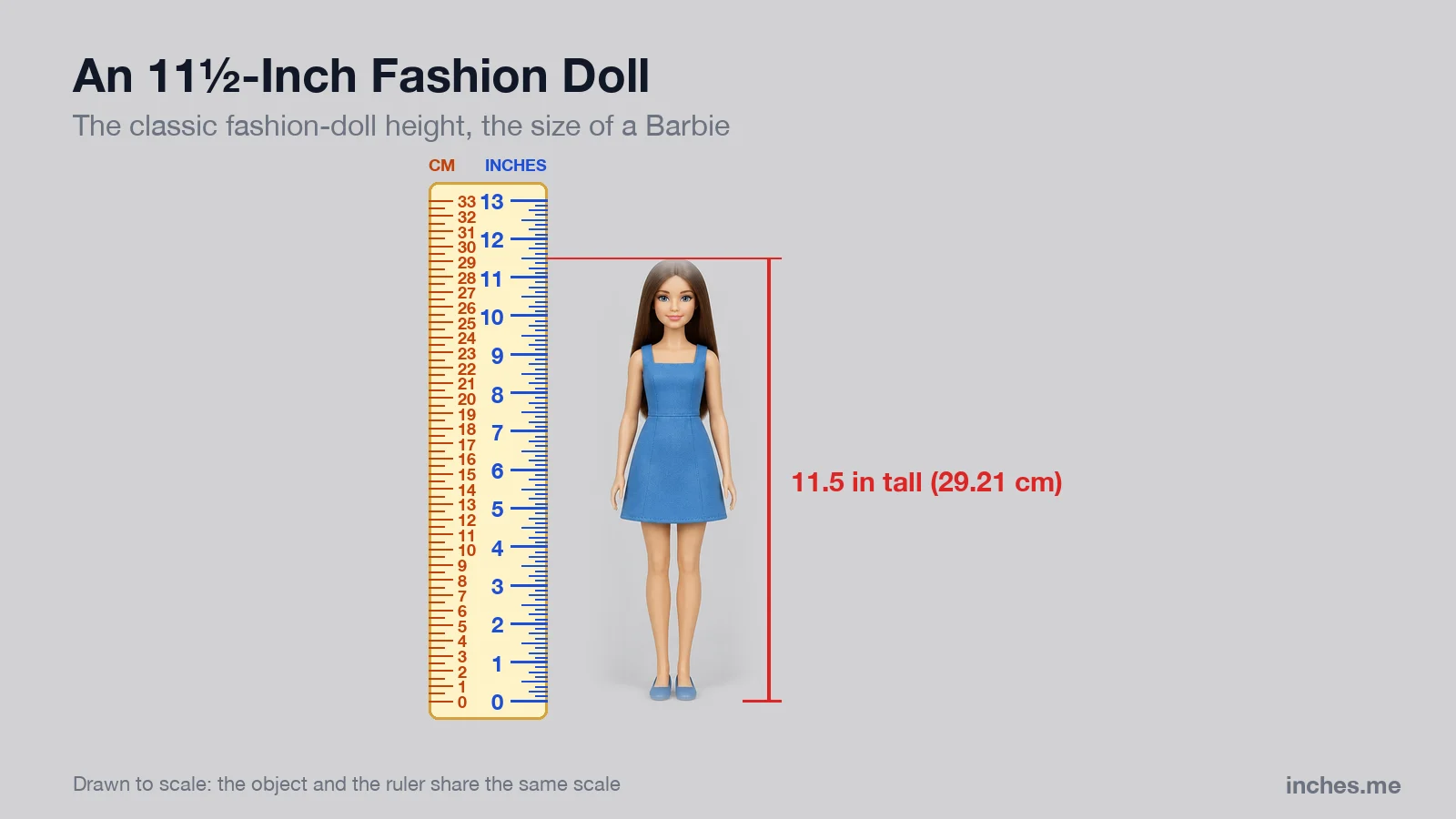 Fashion doll in a blue dress standing next to a ruler, 11.5 inches tall