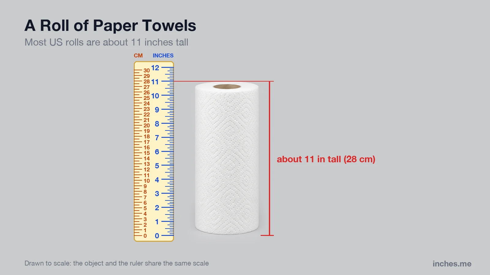 Roll of white paper towels standing on end next to a ruler, about 11 inches tall