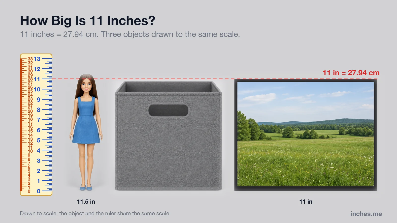 A fashion doll, a fabric storage bin and an 11 by 14 framed print next to a ruler, with a line marking 11 inches