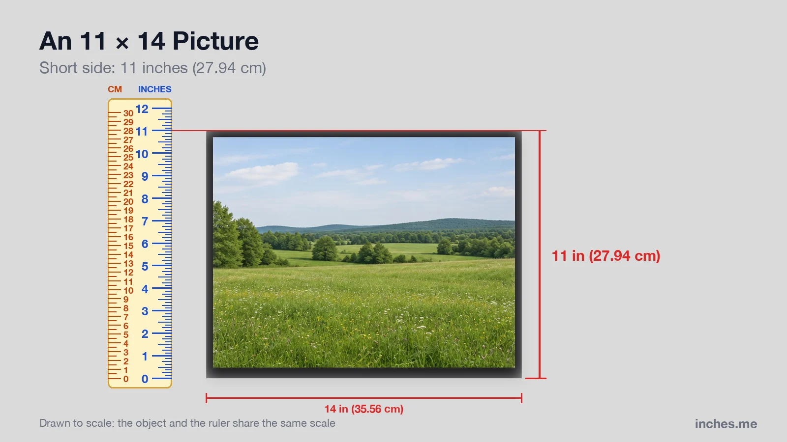 Framed 11 by 14 inch landscape print next to a ruler, 11 inches tall and 14 inches wide