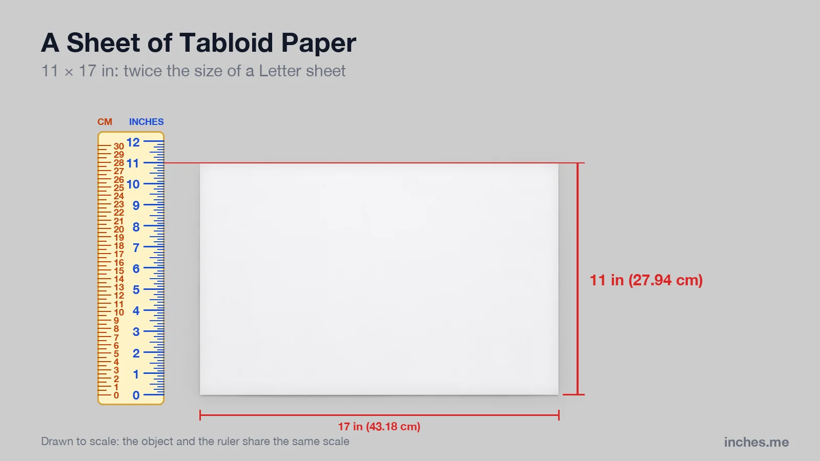 Sheet of 11 by 17 inch tabloid paper next to a ruler, 11 inches tall and 17 inches wide