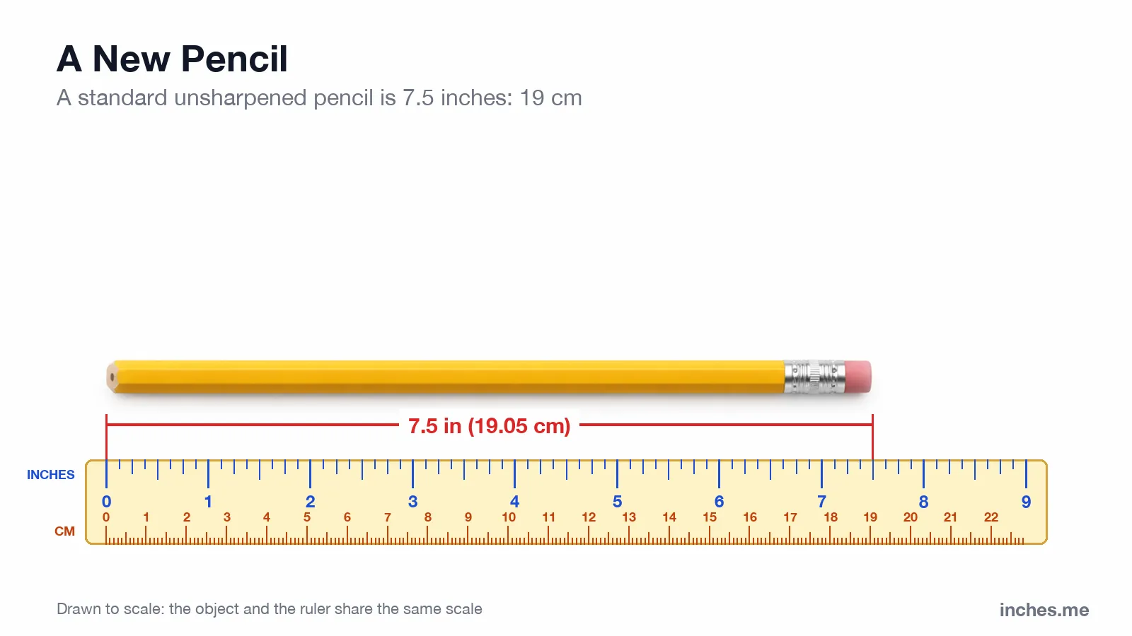 New yellow wooden pencil with an eraser lying above a ruler, 7.5 inches (19 centimeters) long