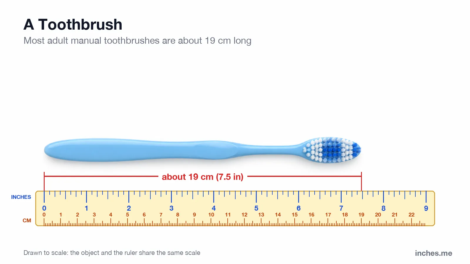 Light blue manual toothbrush lying above a ruler, about 19 centimeters long