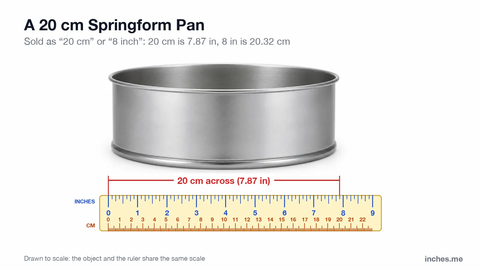 Round metal springform cake pan seen from the side above a ruler, 20 centimeters across