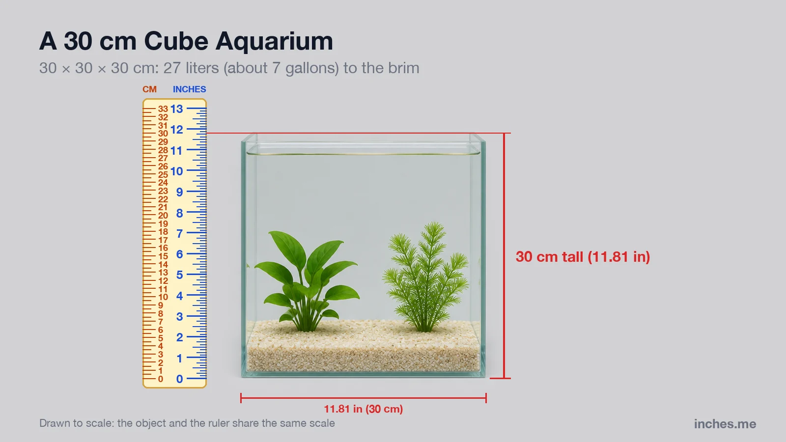 Small rimless glass cube aquarium with sand and two plants next to a ruler, 30 centimeters tall