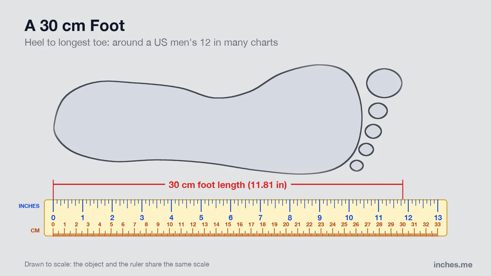 Diagram of a footprint above a ruler, 30 centimeters from the heel to the tip of the longest toe