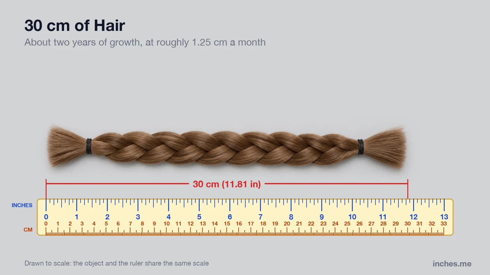 Cut braid of light brown hair tied at both ends lying above a ruler, 30 centimeters long