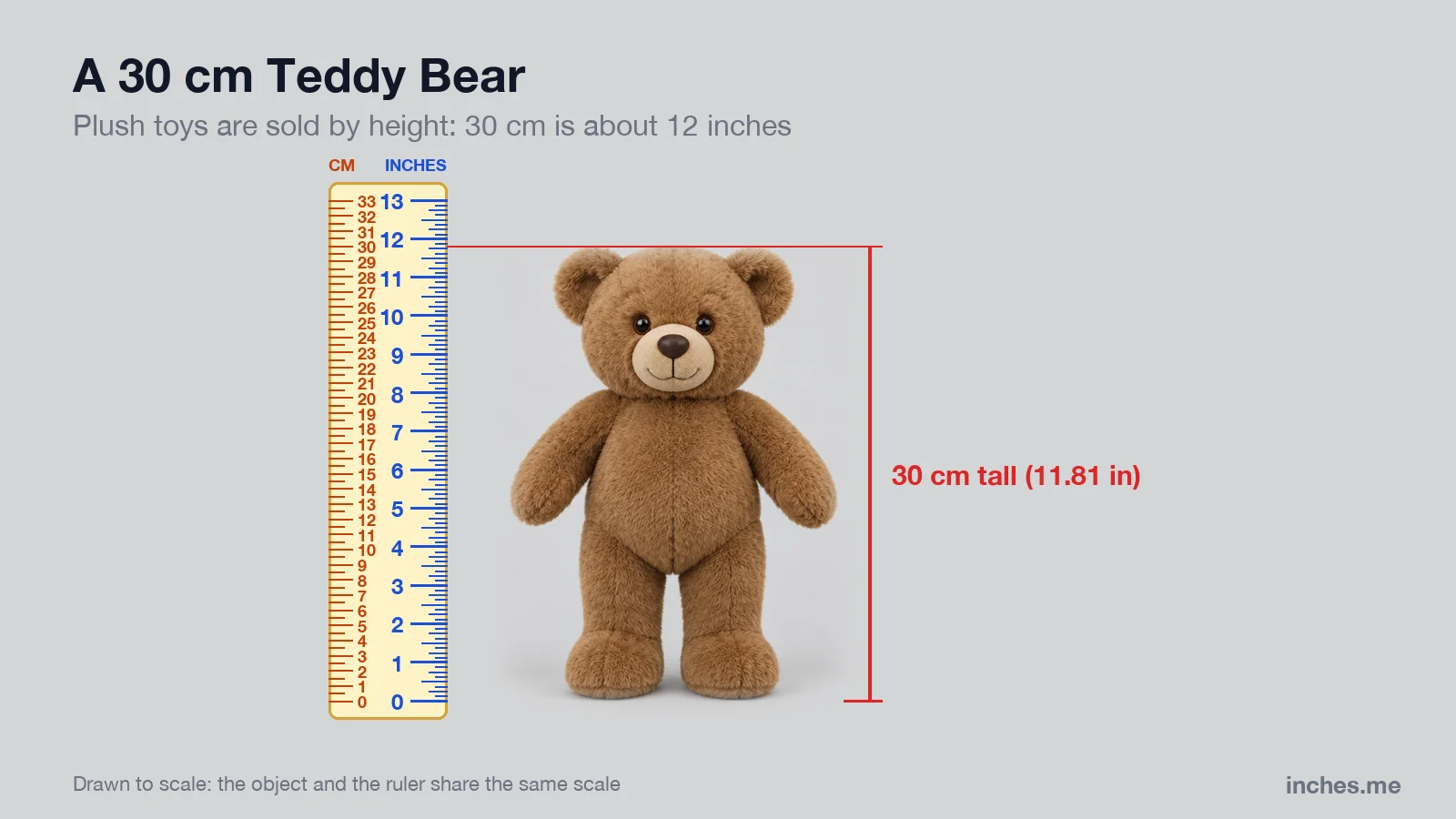 Brown plush teddy bear standing next to a ruler, 30 centimeters tall