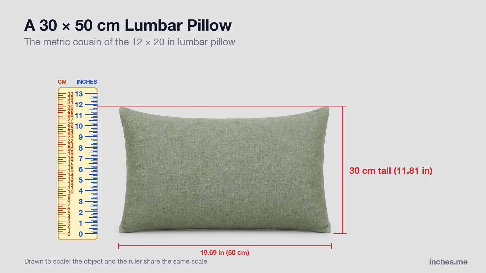 Sage green rectangular lumbar pillow next to a ruler, 30 centimeters tall and 50 centimeters wide