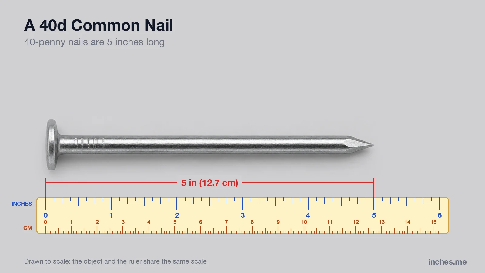 Large steel common nail above a ruler, 5 inches long from head to point