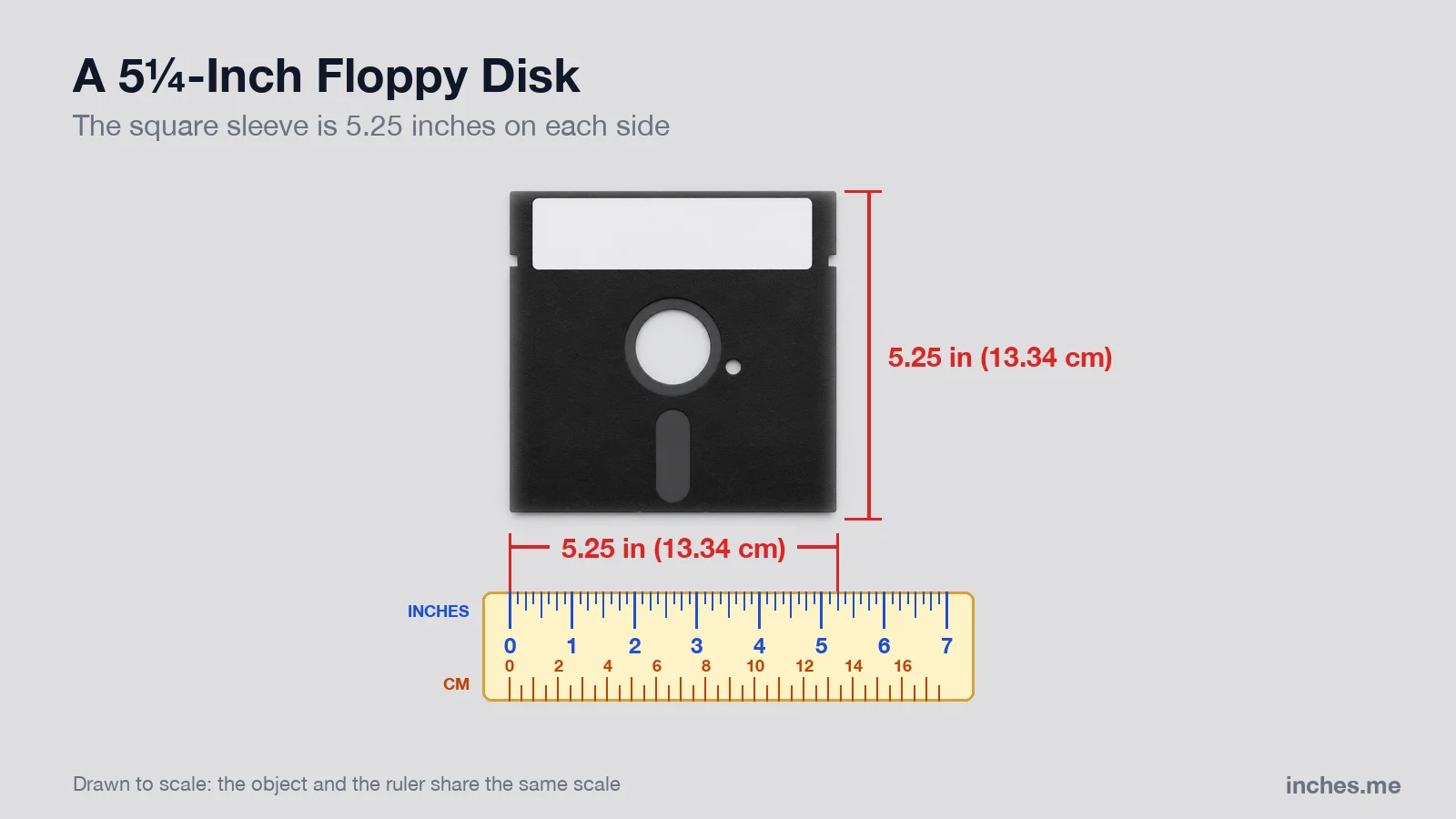 Black 5.25-inch floppy disk above a ruler, 5.25 inches wide and tall