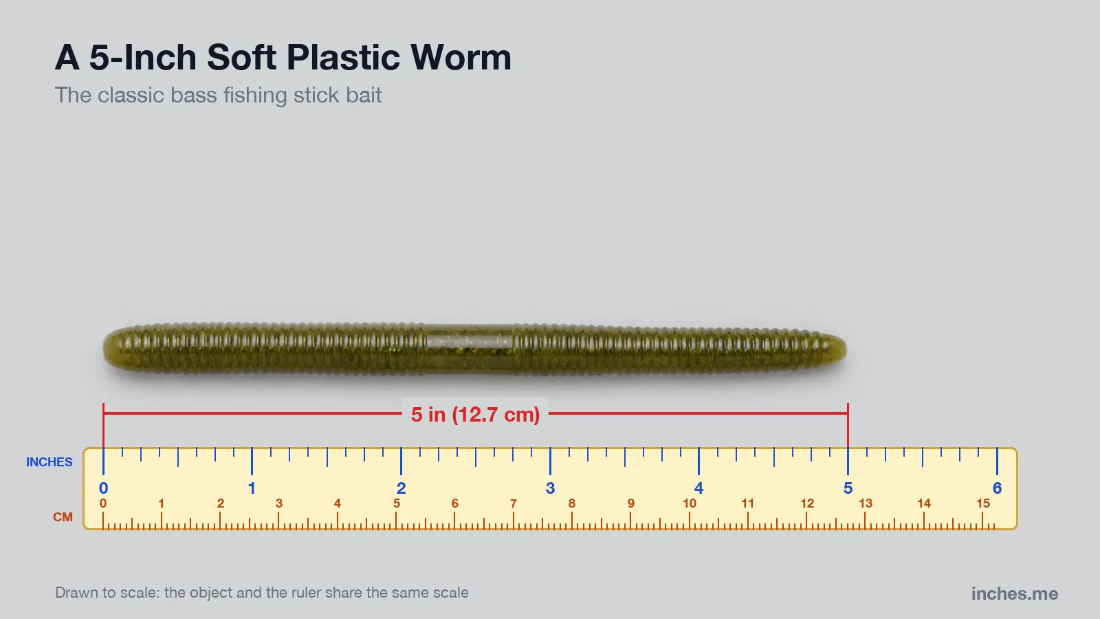 Green pumpkin soft plastic fishing worm above a ruler, 5 inches long
