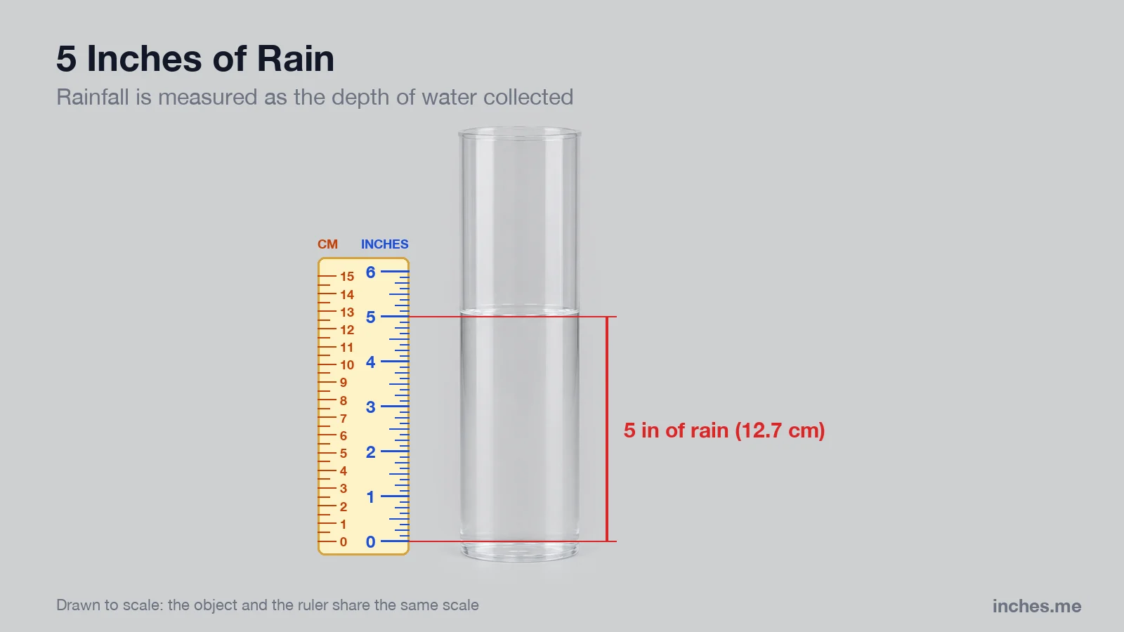 Clear rain gauge next to a ruler, holding 5 inches of water