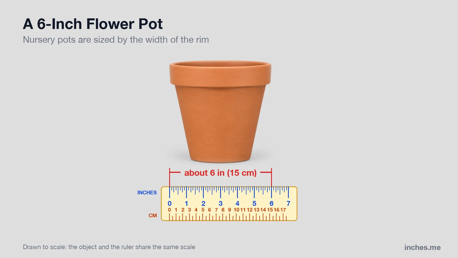 Terracotta flower pot next to a ruler, about 6 inches across the rim