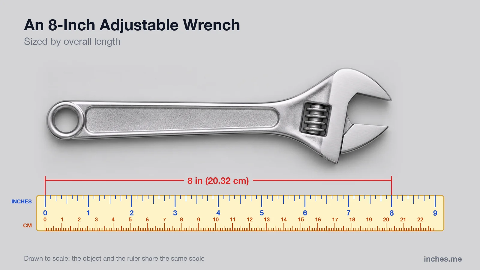 Chrome adjustable wrench above a ruler, 8 inches long