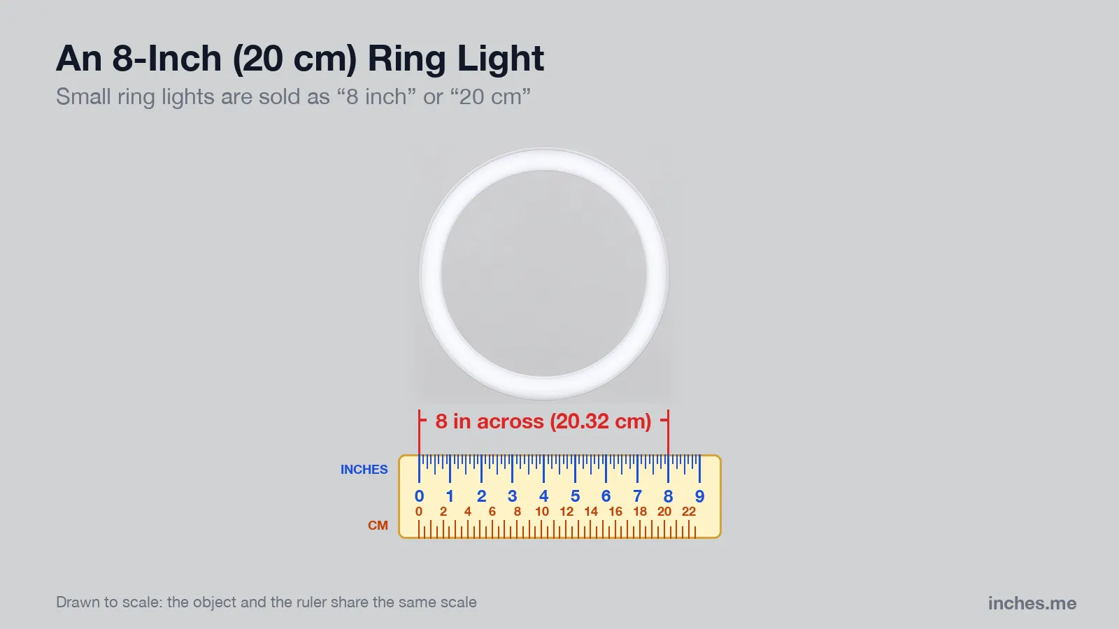 White LED ring light head seen from the front above a ruler, 8 inches (20.3 centimeters) across