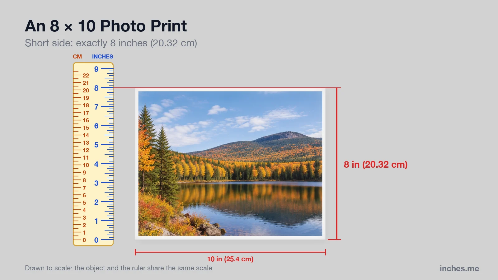 8 by 10 inch landscape photo print next to a ruler, 8 inches tall and 10 inches wide