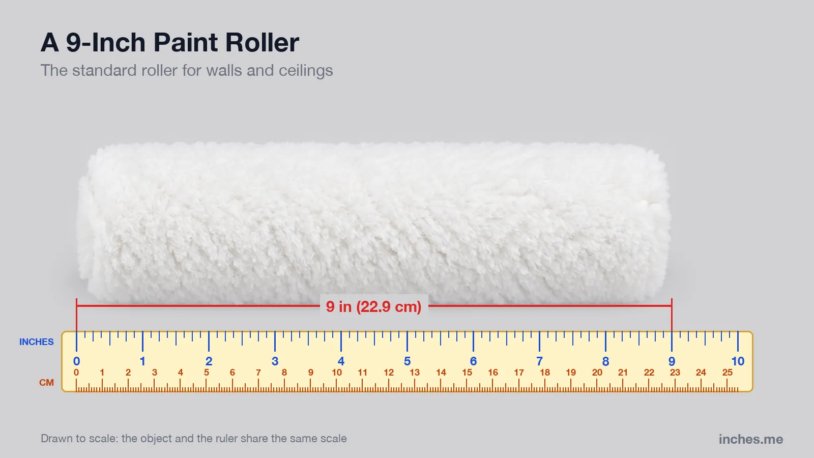 White paint roller cover lying on its side above a ruler, 9 inches long