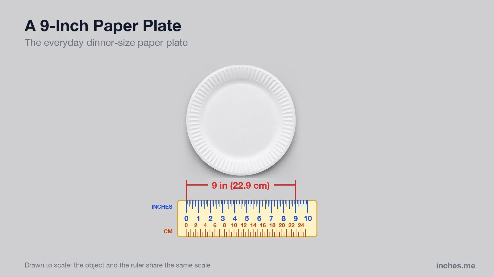 White ribbed paper plate seen from above next to a ruler, 9 inches across