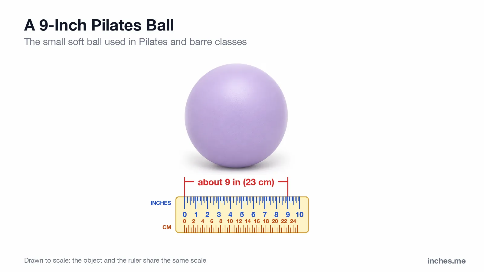 Small lavender exercise ball above a ruler, about 9 inches across
