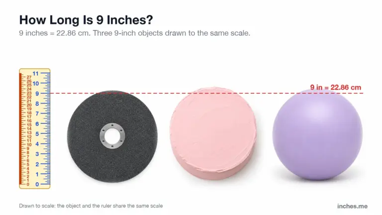 A grinding disc, a round cake and a small exercise ball next to a ruler, with a line marking 9 inches