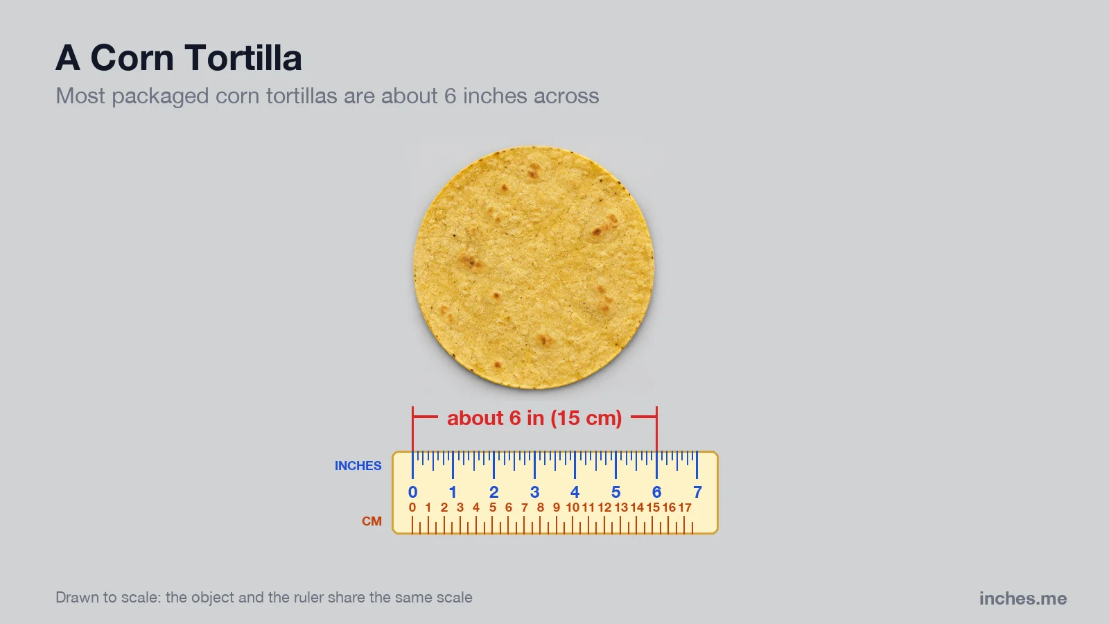 Corn tortilla above a ruler, about 6 inches across