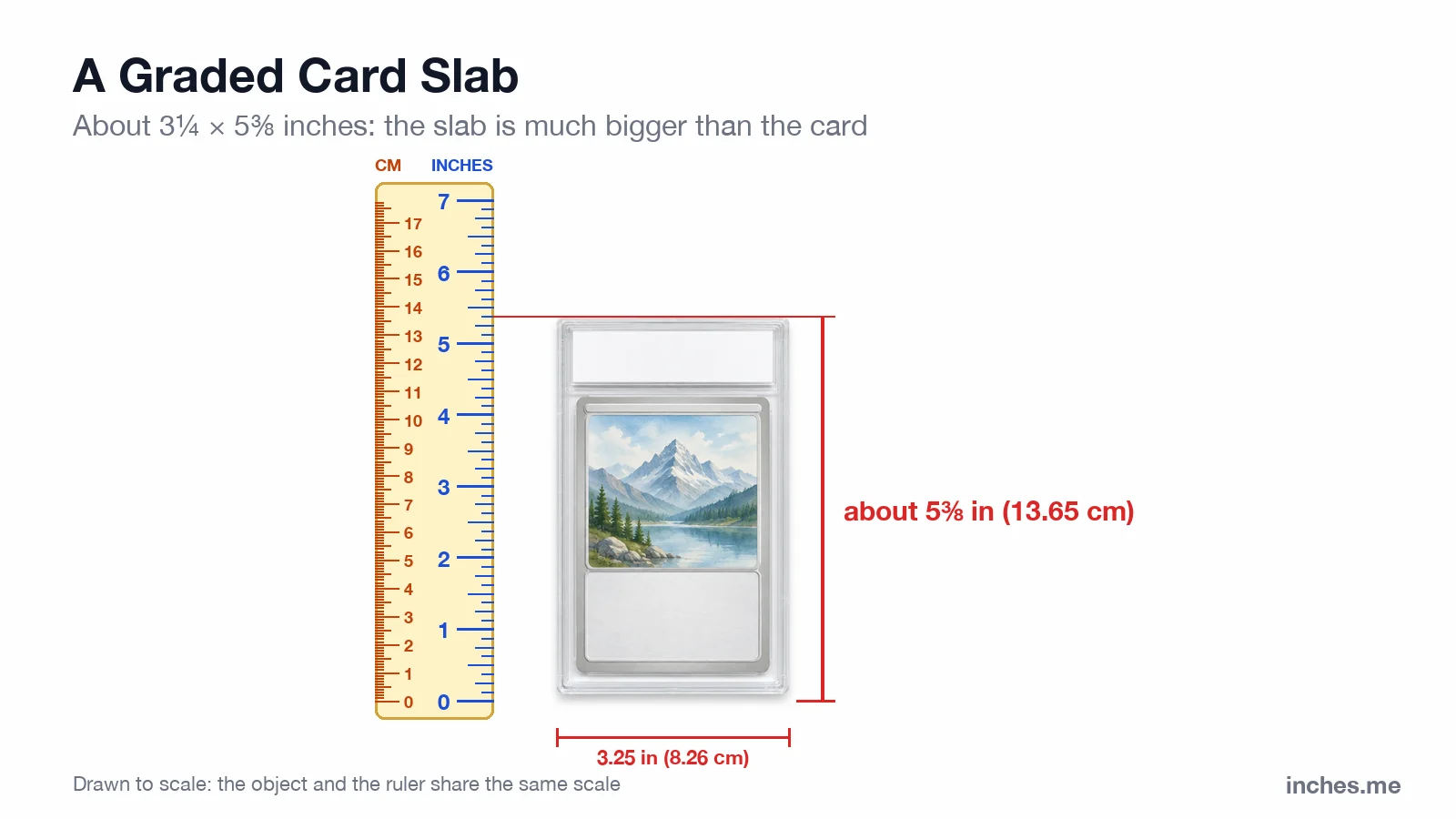Trading card sealed in a clear graded slab with a blank label, next to a ruler, about 5 3/8 inches tall