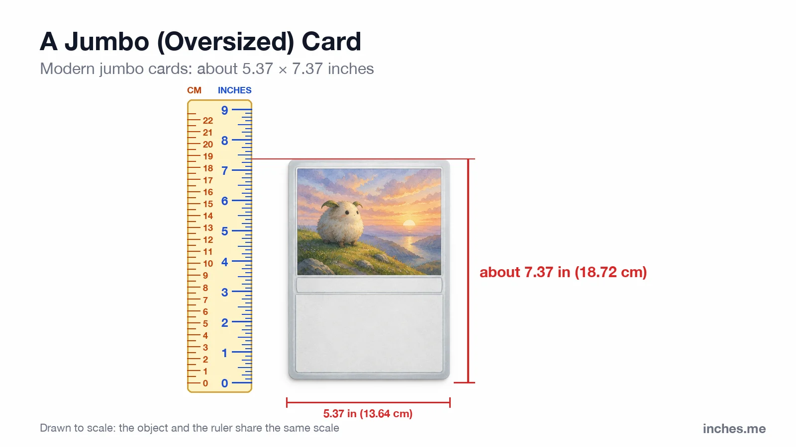 Oversized jumbo trading card standing next to a ruler, about 7.4 inches (18.7 cm) tall