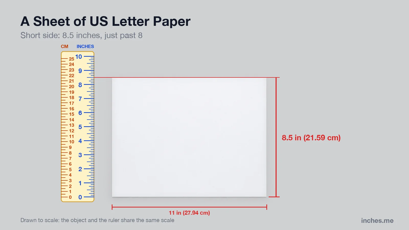 Sheet of US Letter paper lying sideways next to a ruler, 8.5 inches tall and 11 inches wide