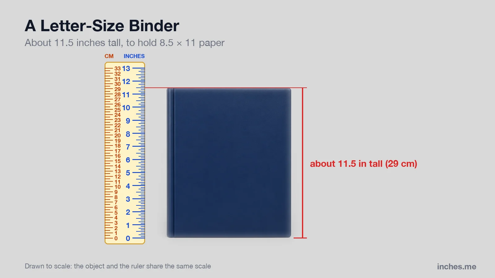 Closed blue three-ring binder standing next to a ruler, about 11.5 inches tall